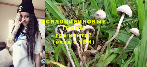 mdpv Надым