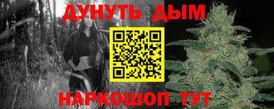 гашик Гусь-Хрустальный