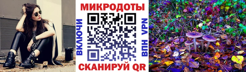 Псилоцибиновые грибы Cubensis  что такое   Кандалакша 