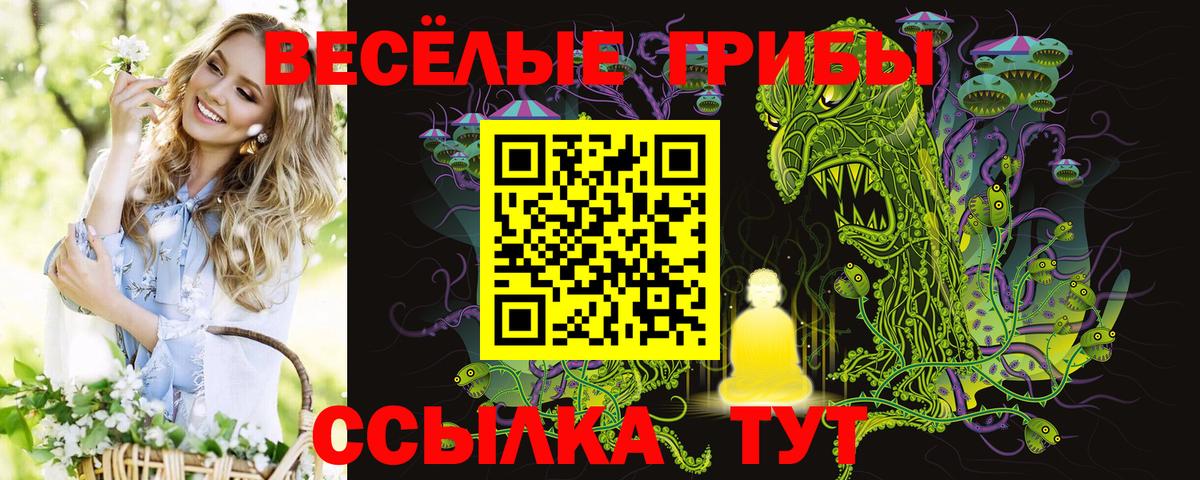 Кандалакша  Псилоцибиновые грибы Magic Shrooms  Псилоцибиновые грибы ЛСД  Вход с VPN 