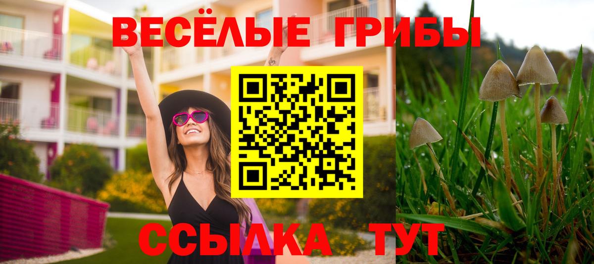 Псилоцибиновые грибы GOLDEN TEACHER Кандалакша