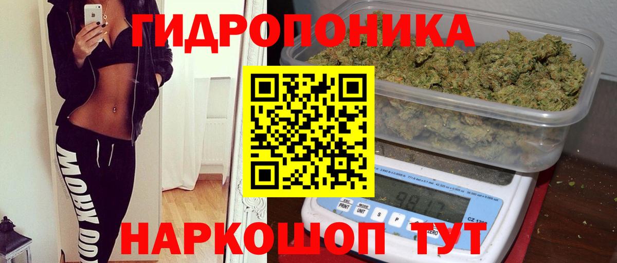 Каннабис гибрид Кандалакша